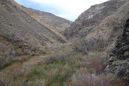 Looking up the valley toward panamint city [sun feb 5 13:55:44 mst 2017]